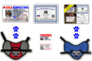 Digital Plus Service Dog Package