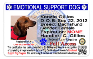 Official emotional support dog id card with picture, hologram and qr coded