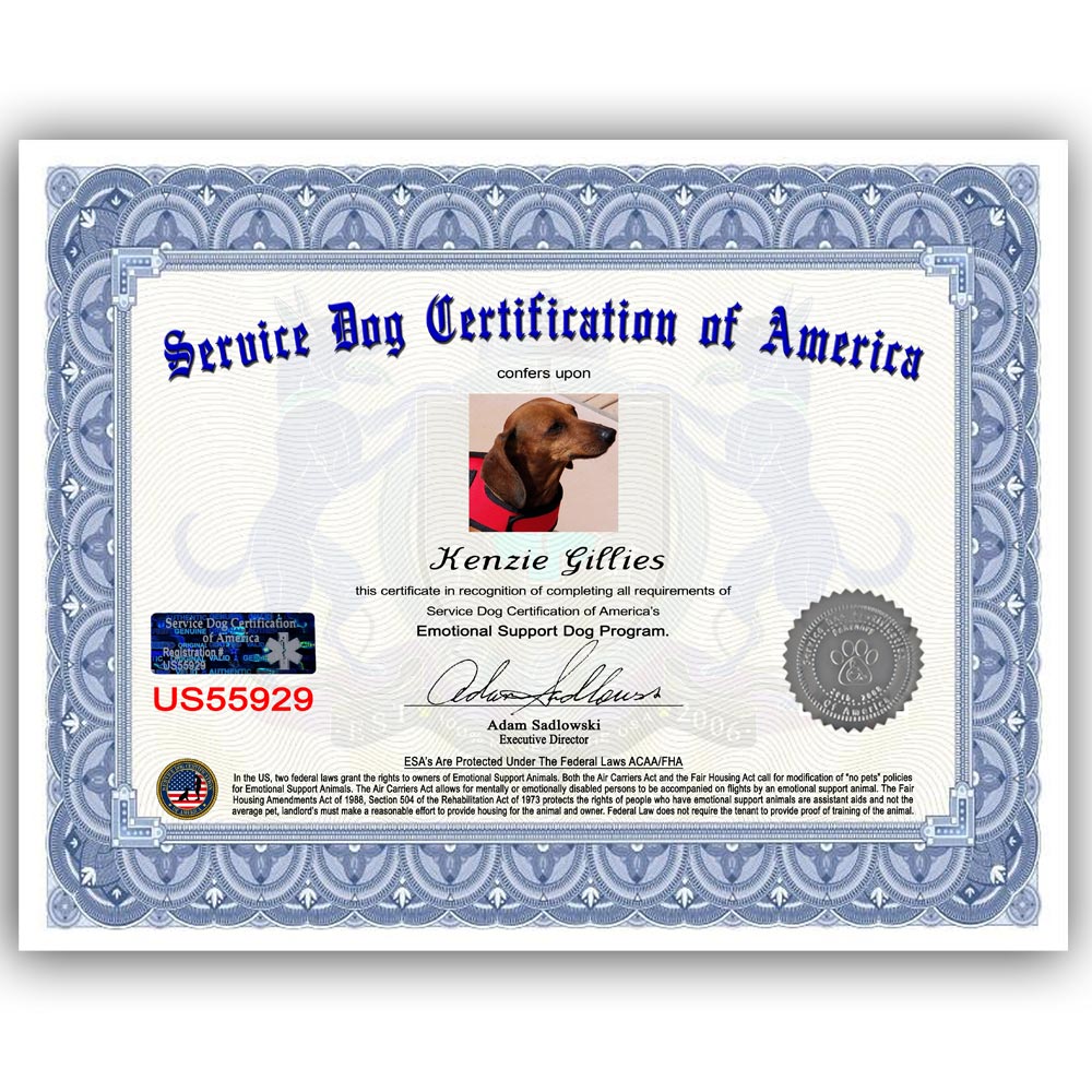 ESA Dog Certification - ESA Certificate Deluxe Package | SDCA